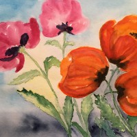 Mohn_1