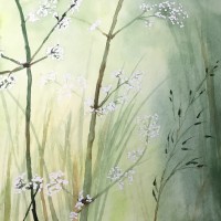 Natur