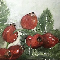Hagebutten_1