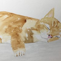 Katze_1