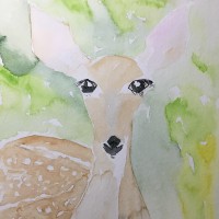 Reh_1