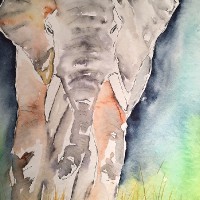 tiere_11